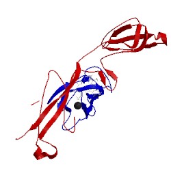 Image of CATH 1tu2