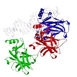 Image of CATH 1tup