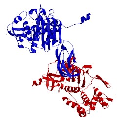 Image of CATH 1tvf