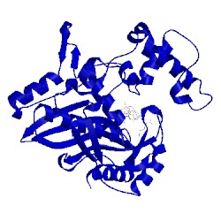 Image of CATH 1tvu