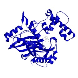 Image of CATH 1tvv