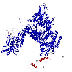 Image of CATH 1twg