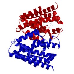 Image of CATH 1twn