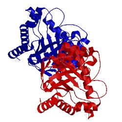 Image of CATH 1tws