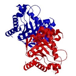 Image of CATH 1twz