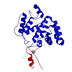 Image of CATH 1tx4