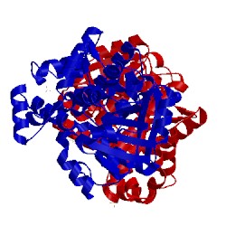 Image of CATH 1txg