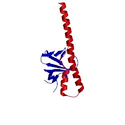 Image of CATH 1txq