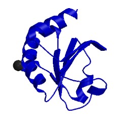 Image of CATH 1txx