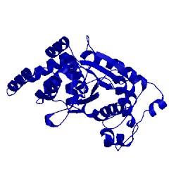 Image of CATH 1tyb