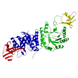 Image of CATH 1tyg