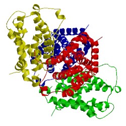 Image of CATH 1tyh