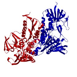Image of CATH 1tyt