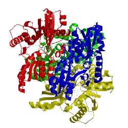 Image of CATH 1tyz