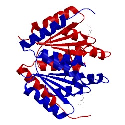 Image of CATH 1u11