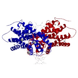 Image of CATH 1u19