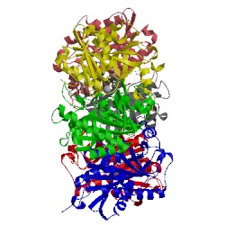 Image of CATH 1u1c