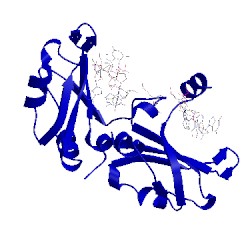 Image of CATH 1u1m