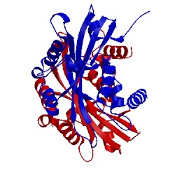 Image of CATH 1u20