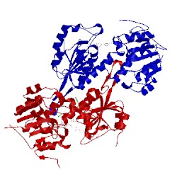 Image of CATH 1u28