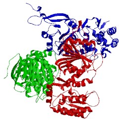 Image of CATH 1u2z