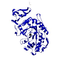 Image of CATH 1u33