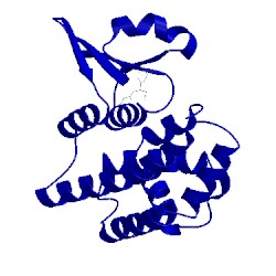 Image of CATH 1u3i