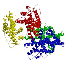 Image of CATH 1u3q