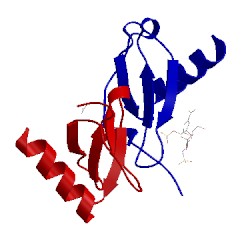 Image of CATH 1u4m