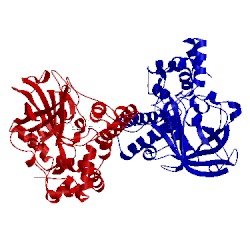 Image of CATH 1u5u