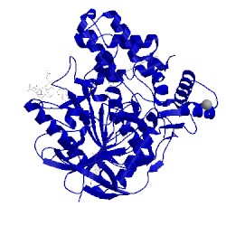 Image of CATH 1u65