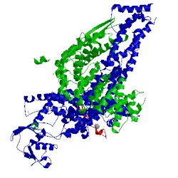 Image of CATH 1u6g