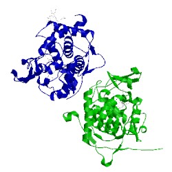 Image of CATH 1u75