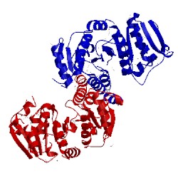 Image of CATH 1u7n