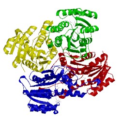 Image of CATH 1u7t