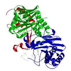 Image of CATH 1u7v