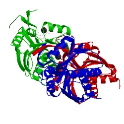 Image of CATH 1u7w