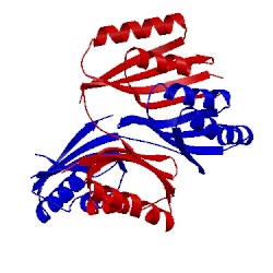 Image of CATH 1u8s