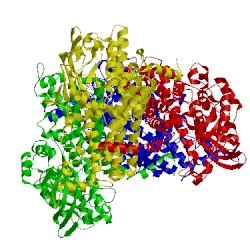 Image of CATH 1u8v