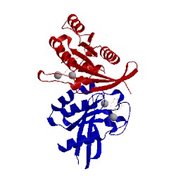 Image of CATH 1u8y