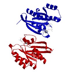 Image of CATH 1u8z