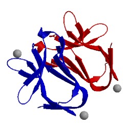 Image of CATH 1u9k