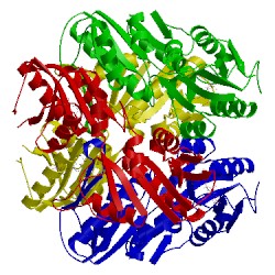 Image of CATH 1u9z