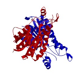 Image of CATH 1uay