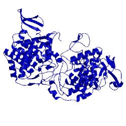 Image of CATH 1ub2