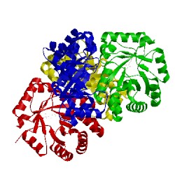 Image of CATH 1ub3