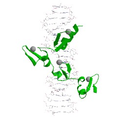 Image of CATH 1ubd