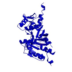 Image of CATH 1ube