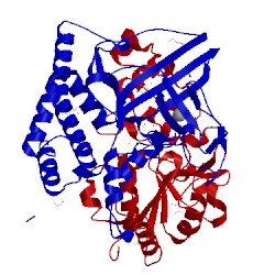 Image of CATH 1ubk