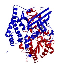 Image of CATH 1ubl